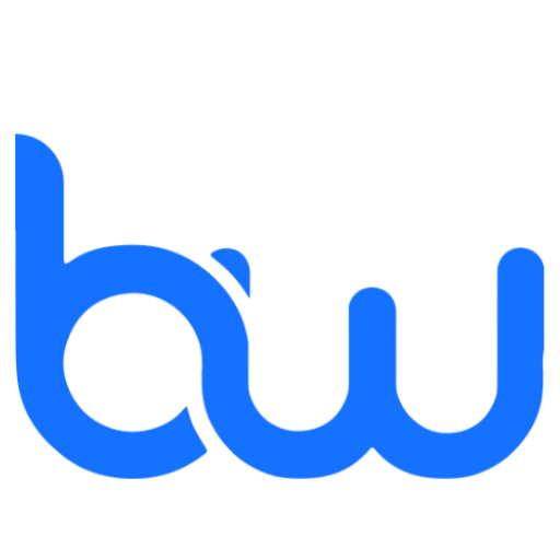 BW – ReMaPaNi